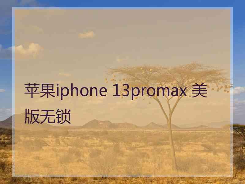 苹果iphone 13promax 美版无锁