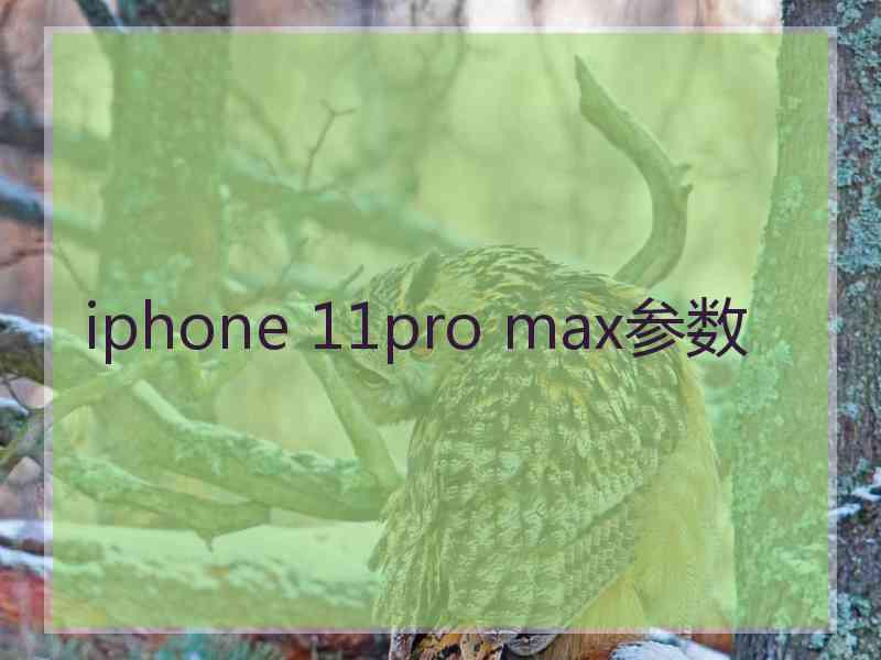 iphone 11pro max参数