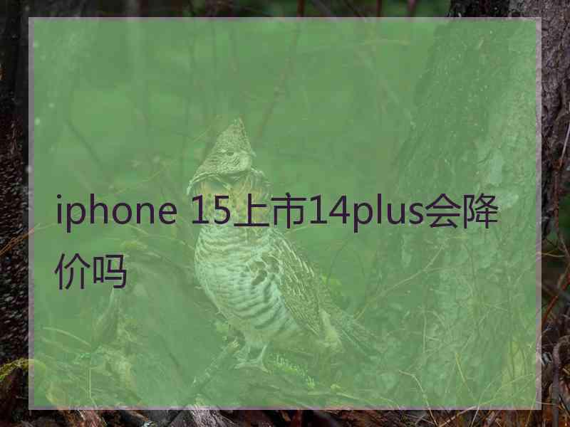 iphone 15上市14plus会降价吗