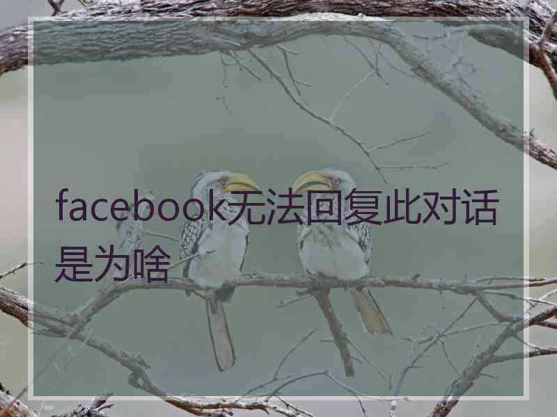 facebook无法回复此对话是为啥