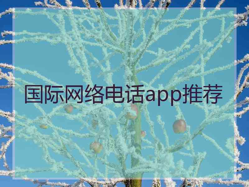 国际网络电话app推荐