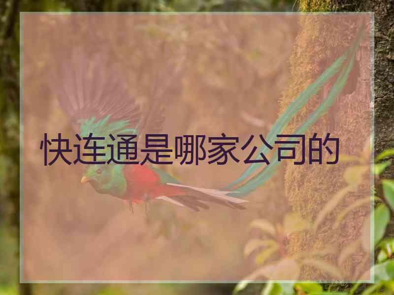 快连通是哪家公司的