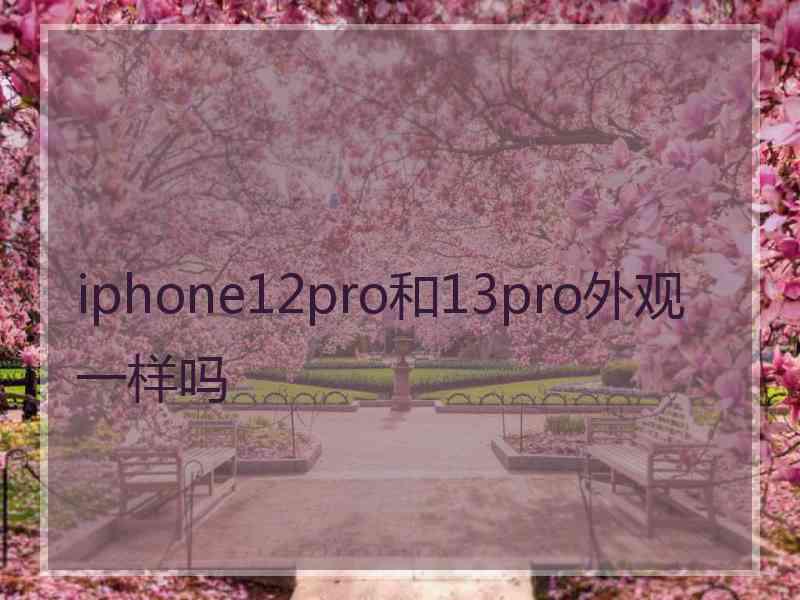 iphone12pro和13pro外观一样吗