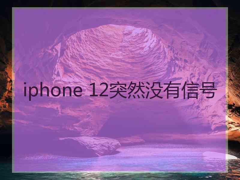 iphone 12突然没有信号