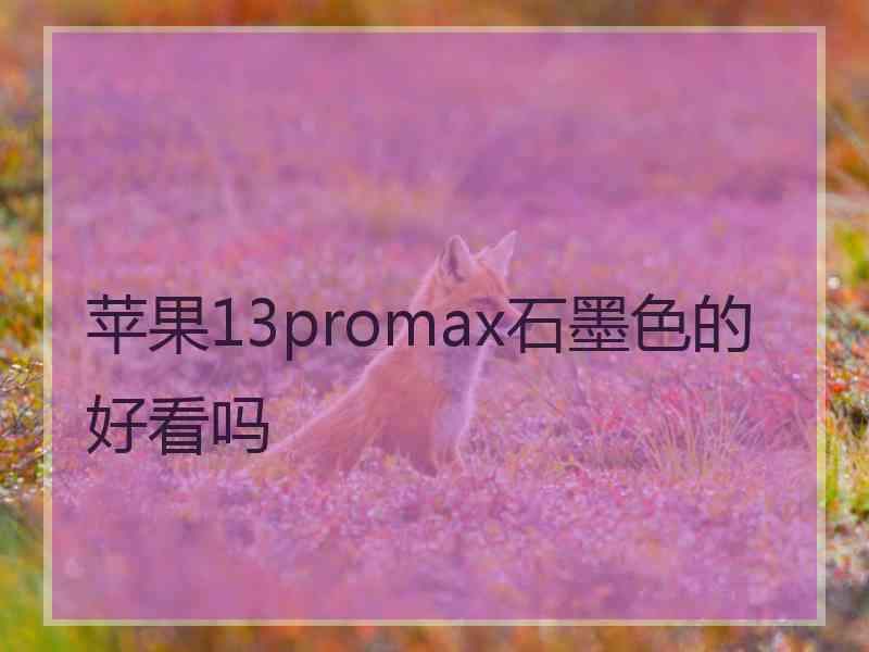 苹果13promax石墨色的好看吗