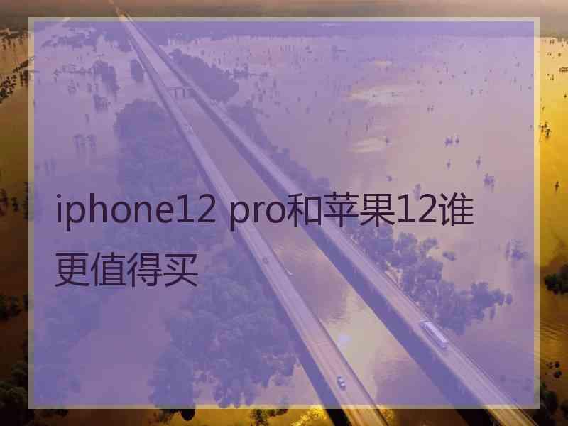 iphone12 pro和苹果12谁更值得买