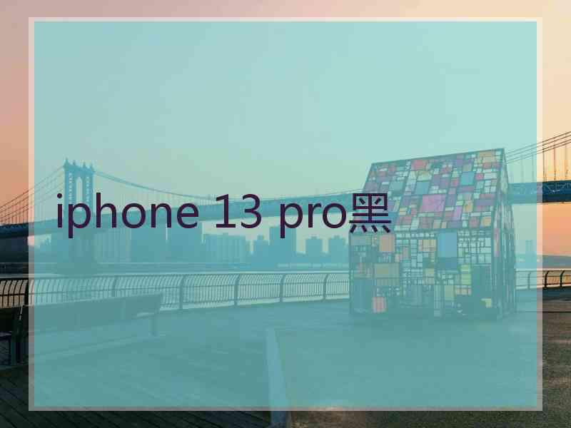 iphone 13 pro黑