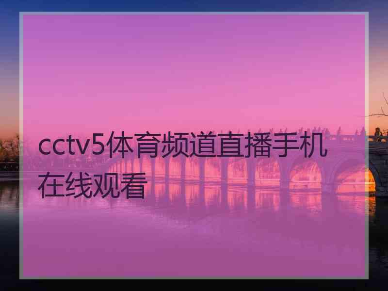 cctv5体育频道直播手机在线观看