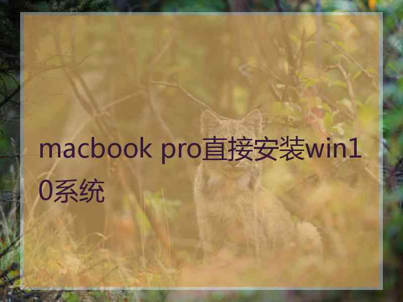 macbook pro直接安装win10系统