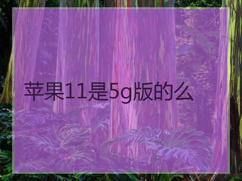 苹果11是5g版的么