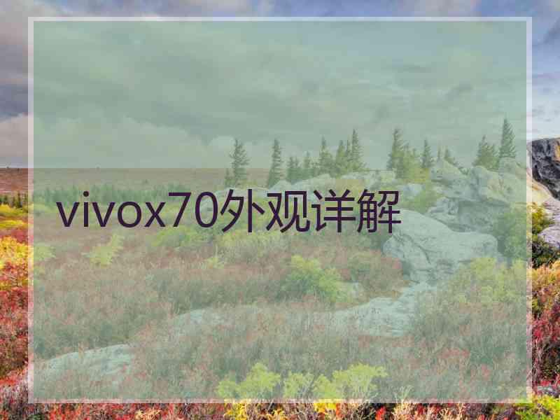 vivox70外观详解