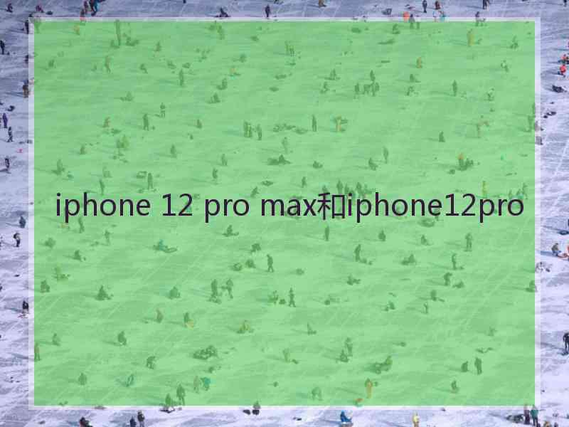 iphone 12 pro max和iphone12pro