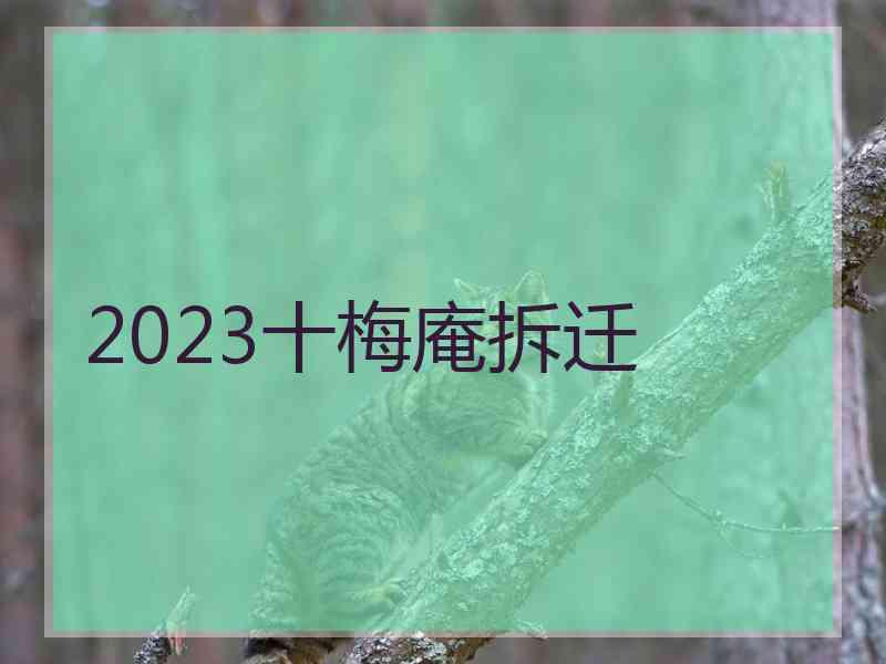 2023十梅庵拆迁