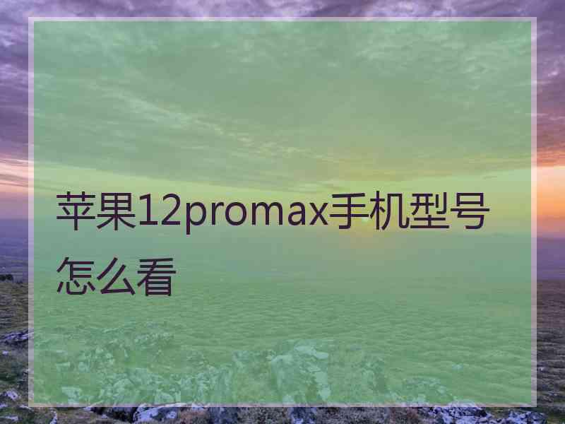 苹果12promax手机型号怎么看