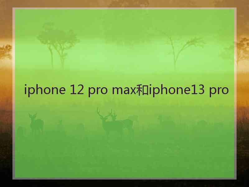 iphone 12 pro max和iphone13 pro