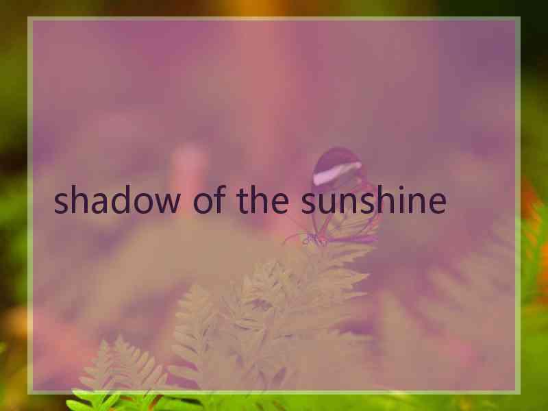 shadow of the sunshine