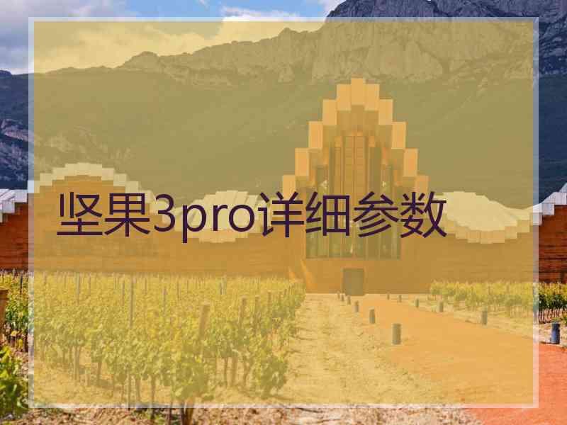 坚果3pro详细参数