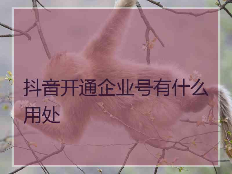 抖音开通企业号有什么用处