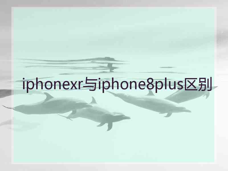 iphonexr与iphone8plus区别