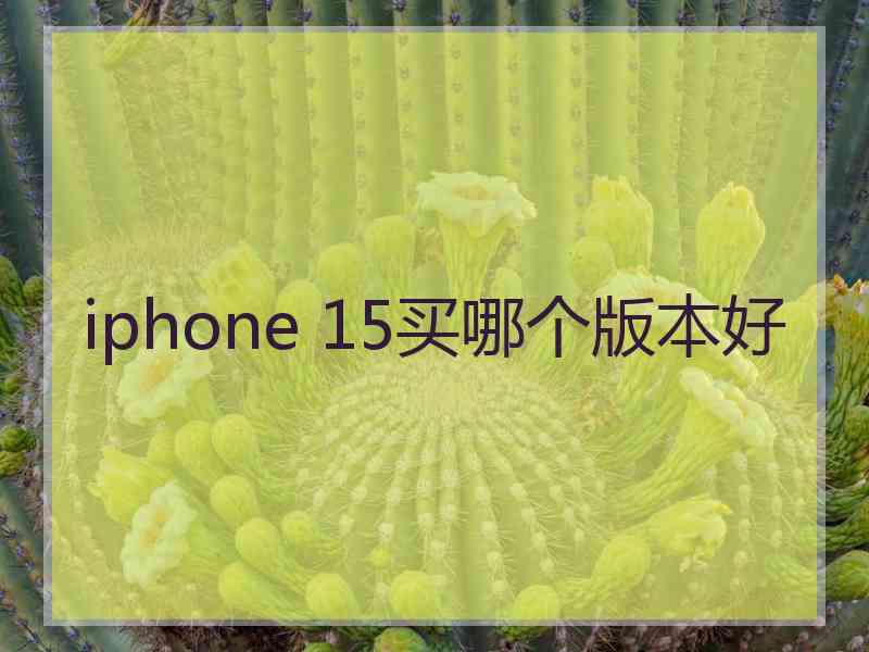 iphone 15买哪个版本好