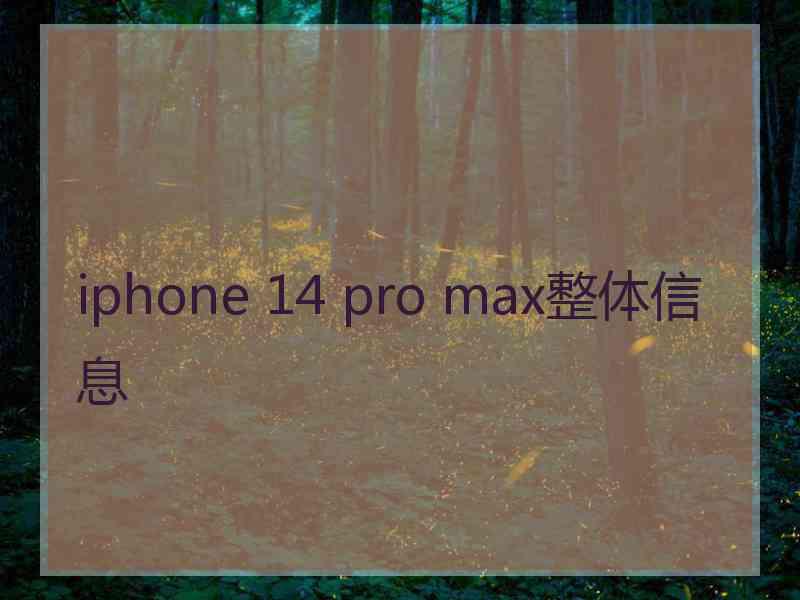 iphone 14 pro max整体信息