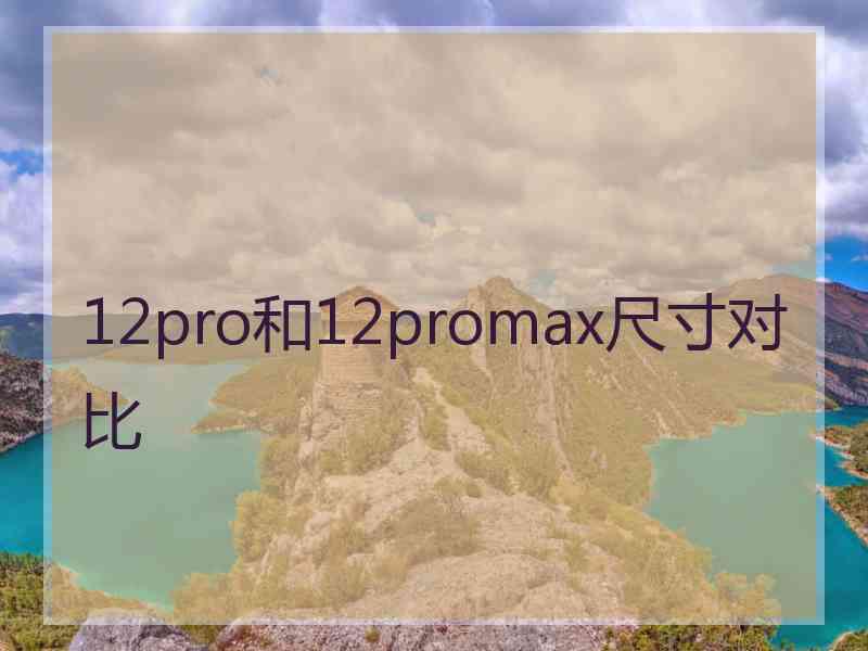 12pro和12promax尺寸对比