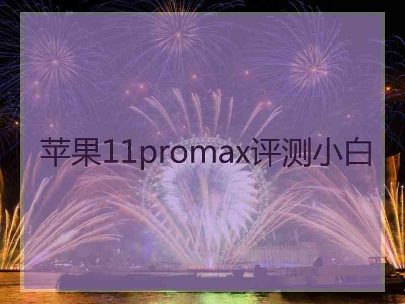 苹果11promax评测小白