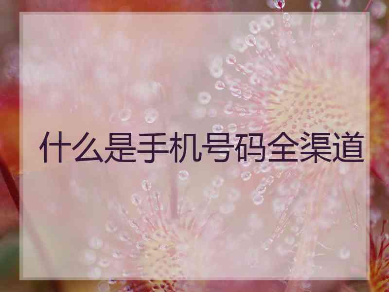 什么是手机号码全渠道