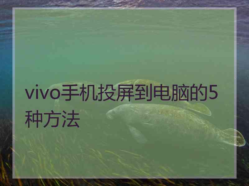 vivo手机投屏到电脑的5种方法