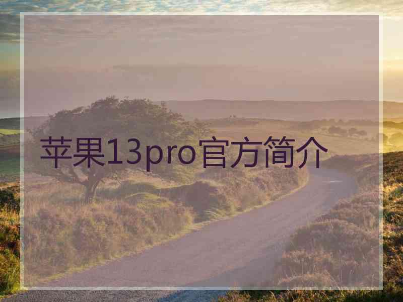 苹果13pro官方简介