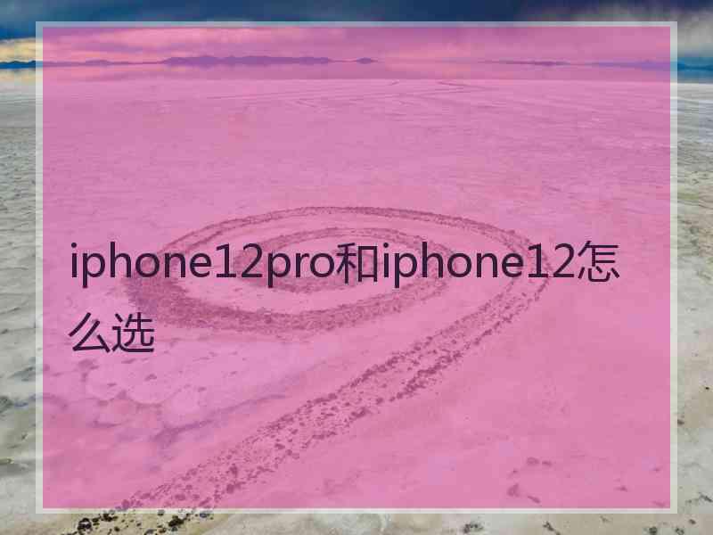 iphone12pro和iphone12怎么选