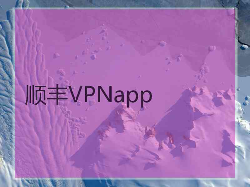 顺丰VPNapp