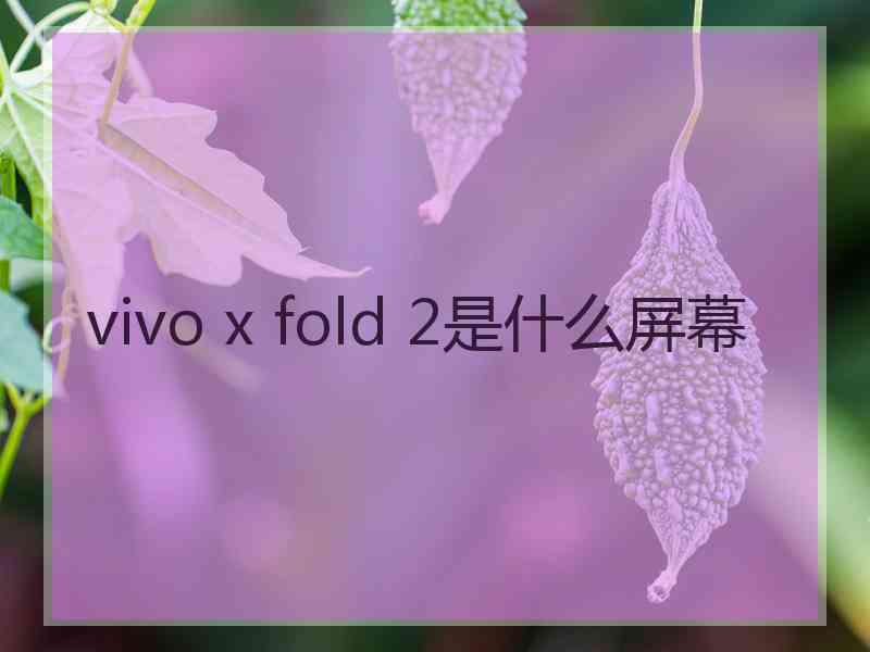 vivo x fold 2是什么屏幕