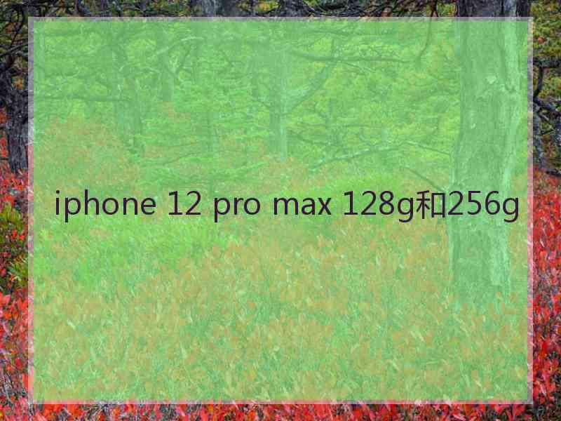 iphone 12 pro max 128g和256g