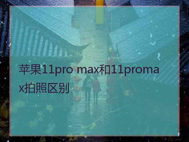 苹果11pro max和11promax拍照区别