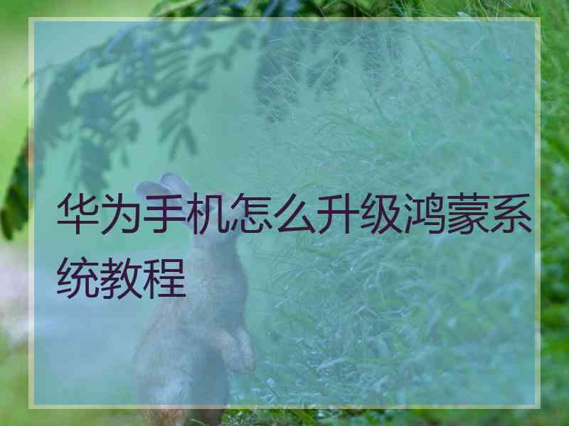 华为手机怎么升级鸿蒙系统教程