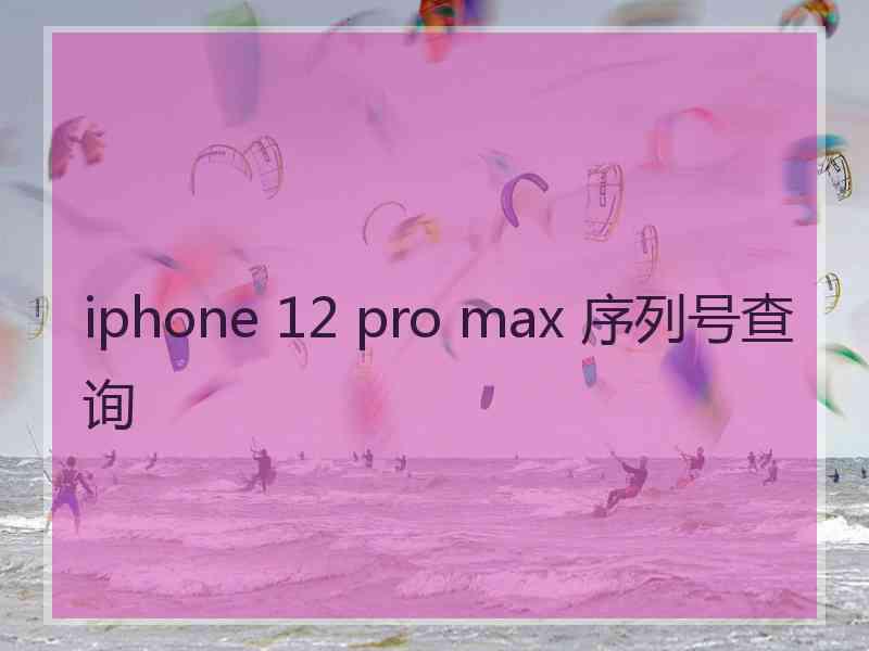 iphone 12 pro max 序列号查询