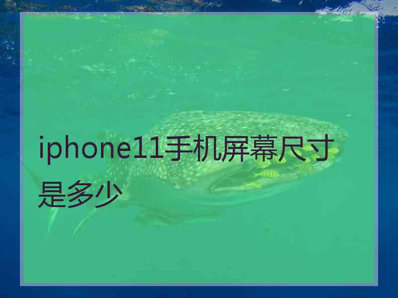 iphone11手机屏幕尺寸是多少