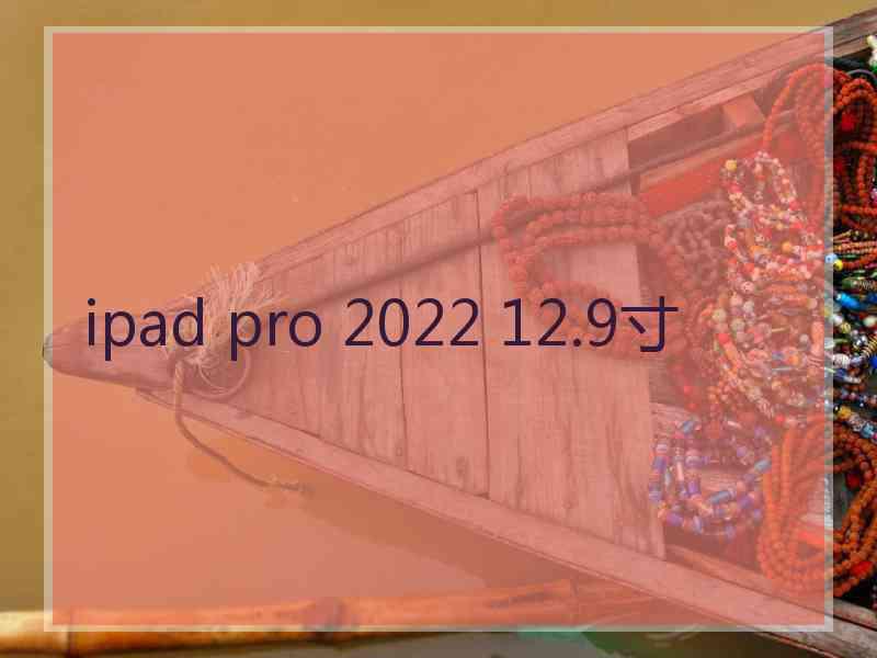 ipad pro 2022 12.9寸