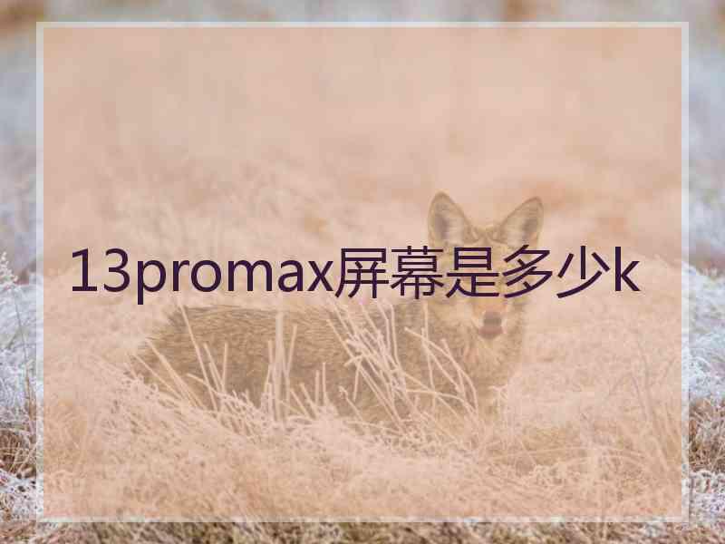 13promax屏幕是多少k