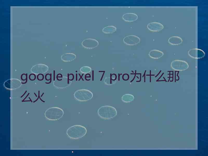 google pixel 7 pro为什么那么火