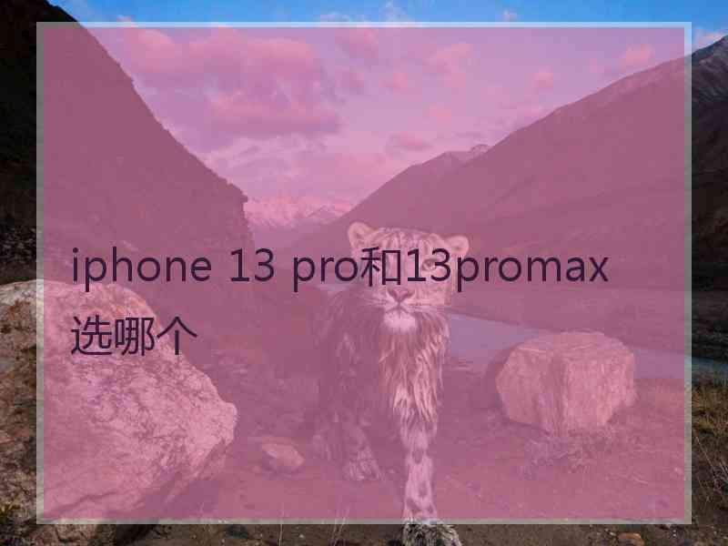 iphone 13 pro和13promax选哪个