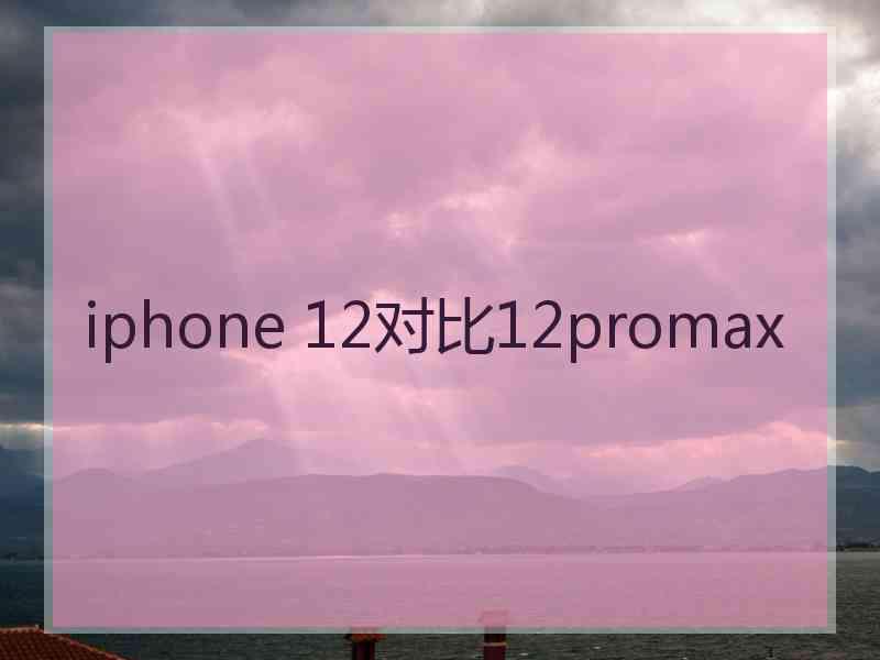 iphone 12对比12promax