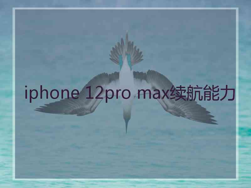 iphone 12pro max续航能力