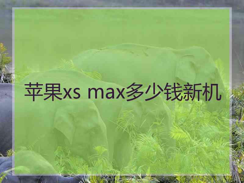 苹果xs max多少钱新机