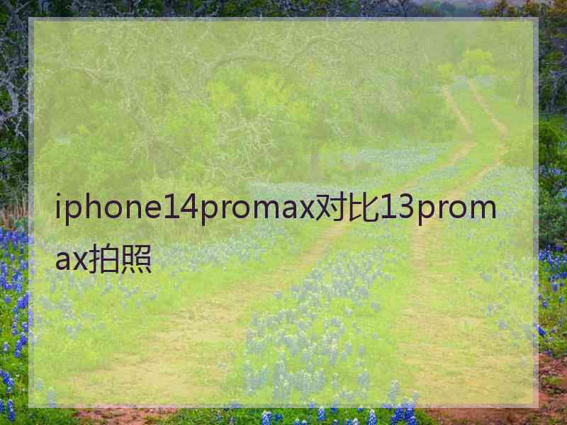 iphone14promax对比13promax拍照