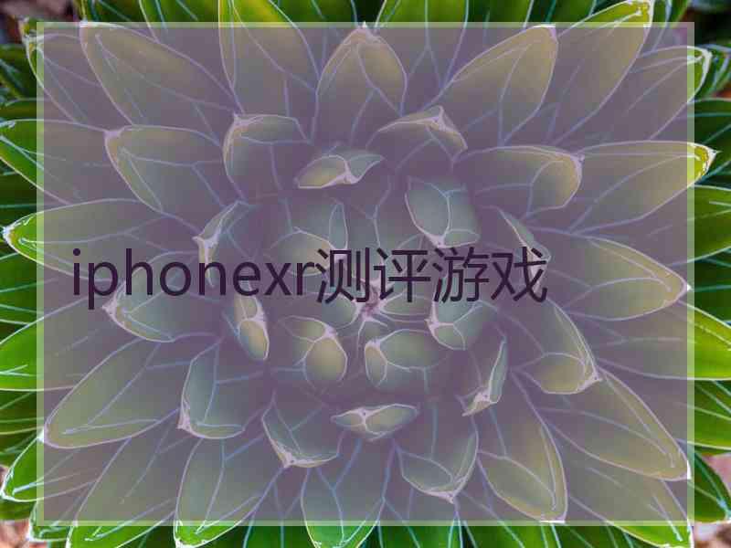 iphonexr测评游戏