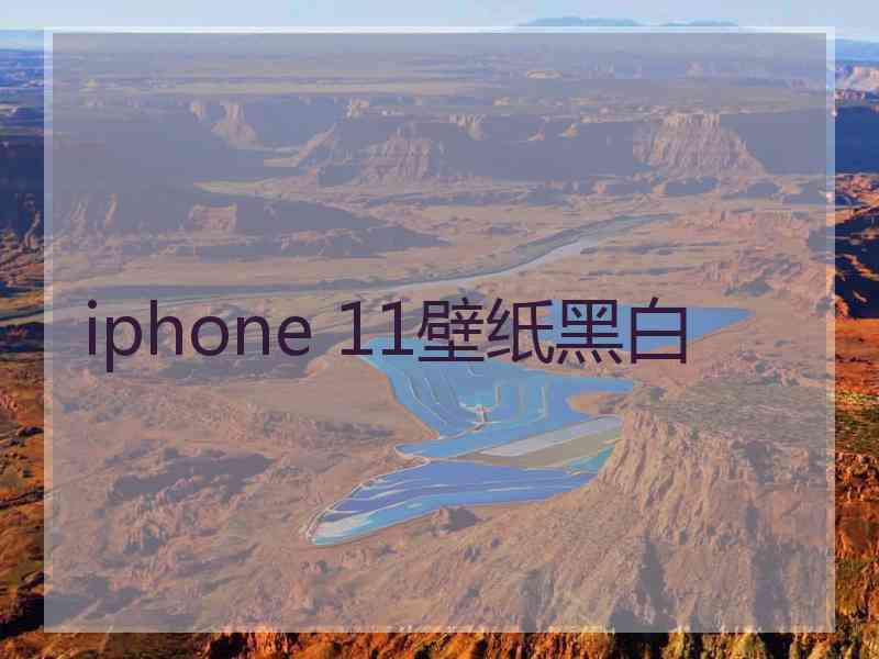 iphone 11壁纸黑白