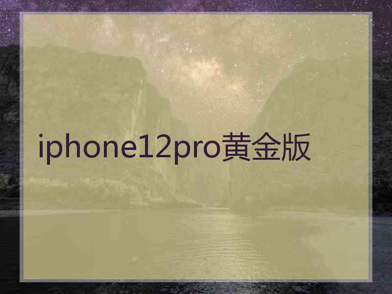 iphone12pro黄金版