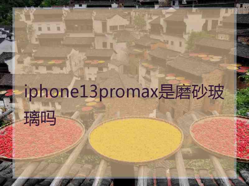 iphone13promax是磨砂玻璃吗